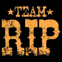 Vintage Team RIP Bag
