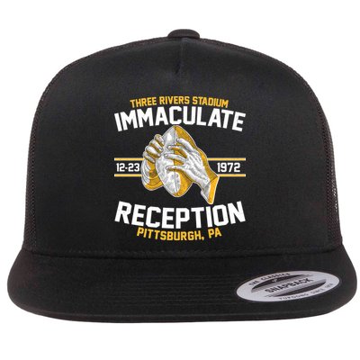 Vintage Three Rivers Stadium Immaculate Reception Football Flatbill Hat