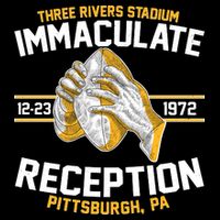Vintage Three Rivers Stadium Immaculate Reception Football Visor