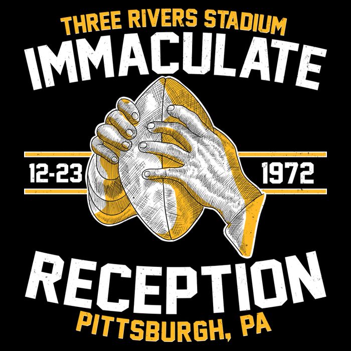 Vintage Three Rivers Stadium Immaculate Reception Football Visor