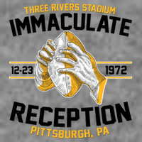 Vintage Three Rivers Stadium Immaculate Reception Football Long Sleeve Shirt
