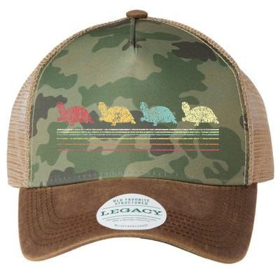 Vintage Tortoises Turtle Lover Funny Tortoise Retro Legacy Tie Dye Trucker Hat