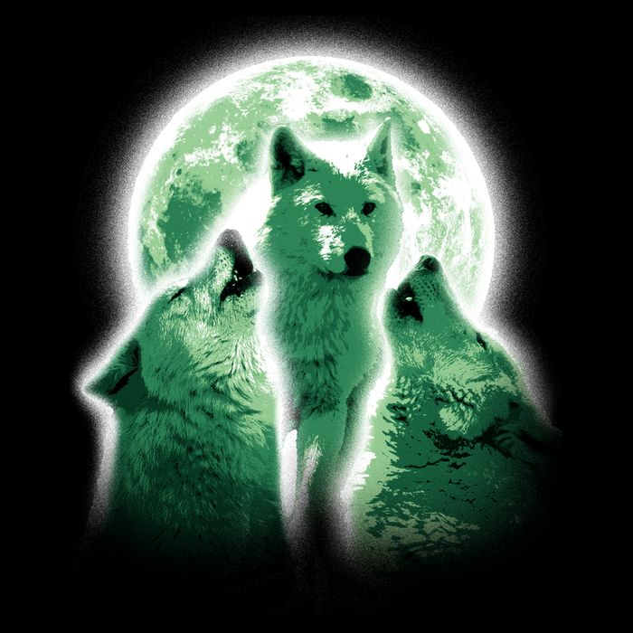 Vintage Three Wolves Moon Design Women's V-Neck T-Shirt