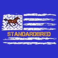 Vintage Usa American Flag Standardbred Horse Riding Lover Cool Gift Tall T-Shirt