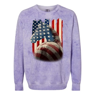 Vintage USA American Flag Horse Colorblast Crewneck Sweatshirt