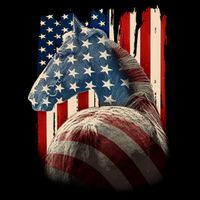 Vintage USA American Flag Horse Kids Hoodie