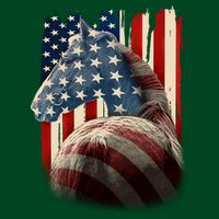 Vintage USA American Flag Horse Apron