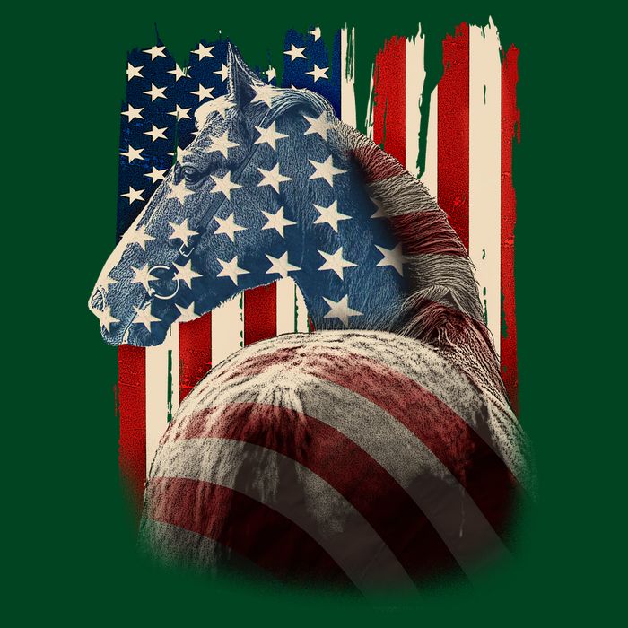 Vintage USA American Flag Horse Button