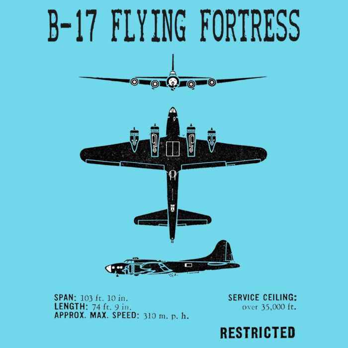 Vintage Usa Bgift17 Bomber Ww2 Warplane Bgift17 Flying Fortress Cool Gift T-Shirt