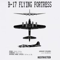 Vintage Usa Bgift17 Bomber Ww2 Warplane Bgift17 Flying Fortress Cool Gift Toddler T-Shirt