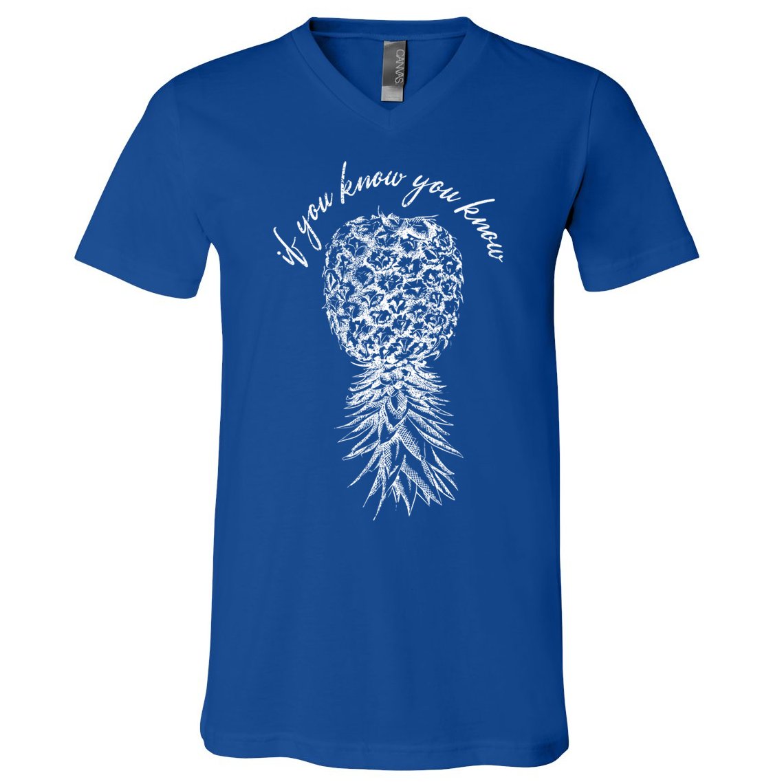 Vintage Upside Down Pineapple Subtle Swinger Gift V-Neck T-Shirt