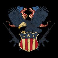Veteran USA Eagle 16 in Basic Backpack