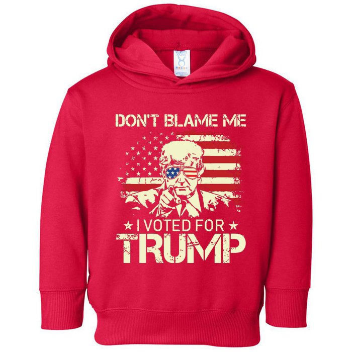 Vintage Usa Flag Dont Blame Me I Voted For Trump On Back Toddler Hoodie