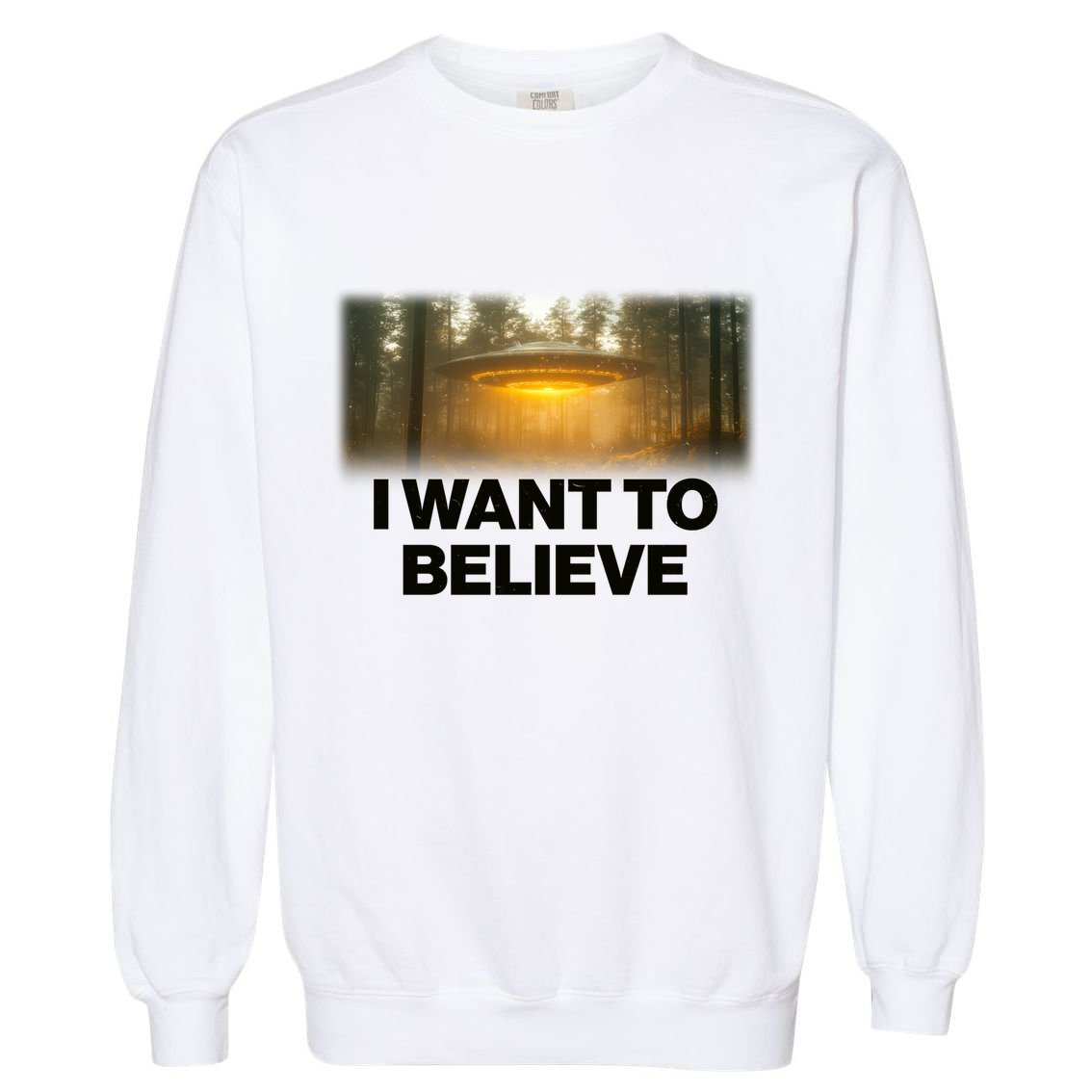 Vintage Ufo I Want To Believe Garment-Dyed Sweatshirt