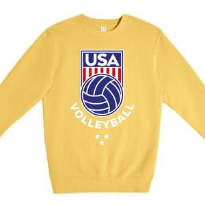 Volleyball USA Support The Team USA Flag Beach T Premium Crewneck Sweatshirt