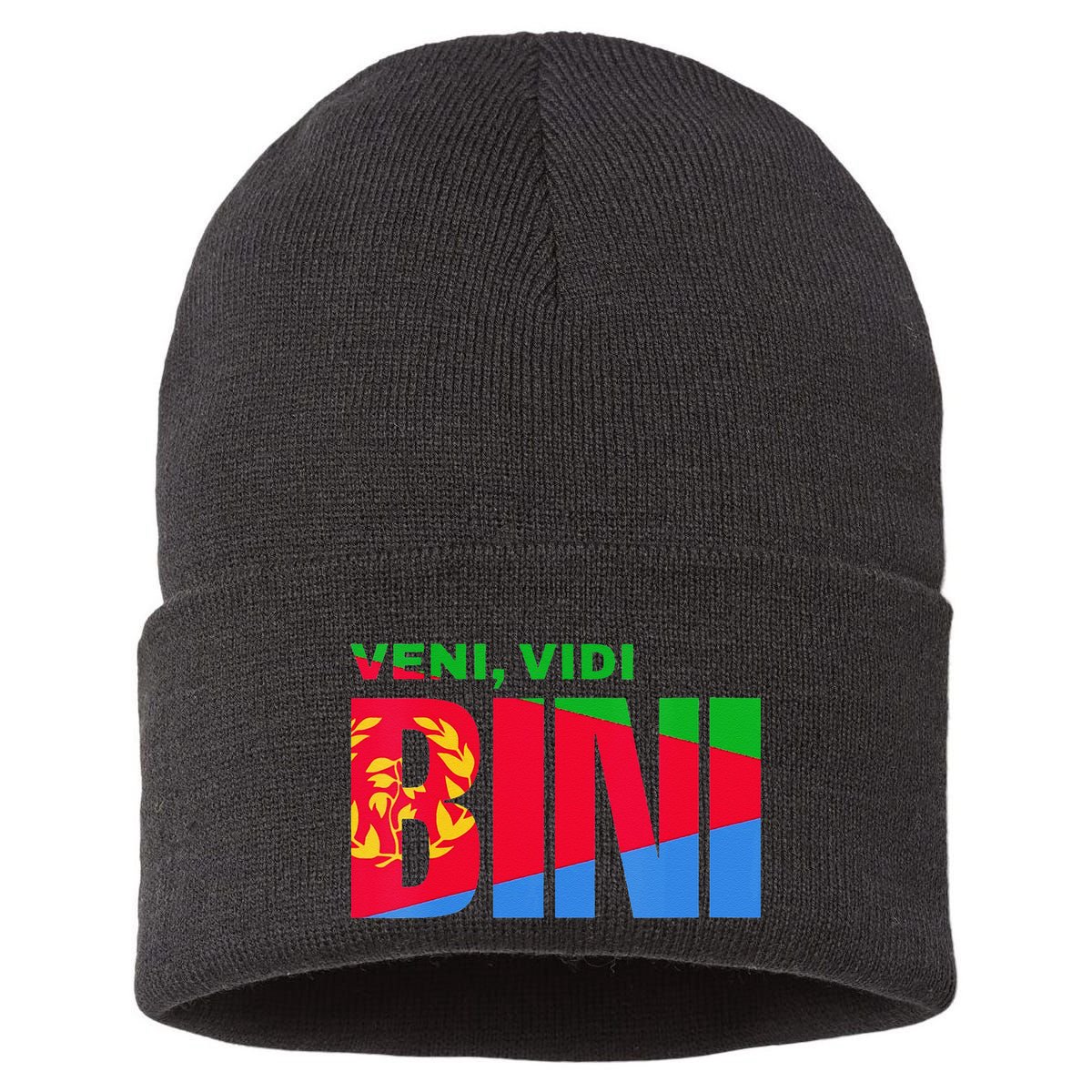 Vini Vidi Bini Biniam Girmay Eritrean Cyclist France Sustainable Knit Beanie