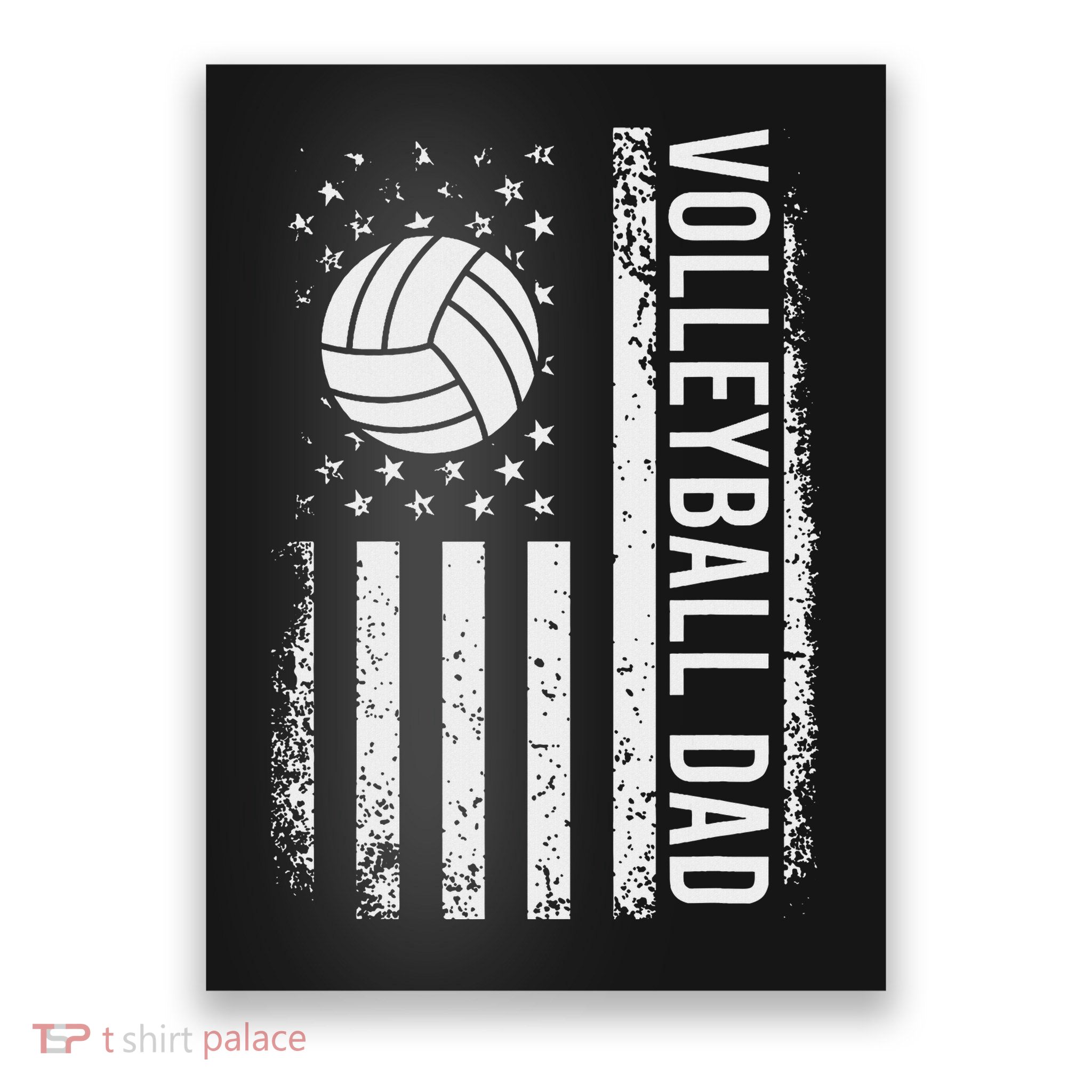 Vintage Volleyball Dad Usa Flag Retro Fathers Day Daddy Papa Poster