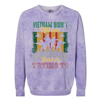 Vietnam Veterans Day Orange Agent Victims Retired Soldiers Colorblast Crewneck Sweatshirt