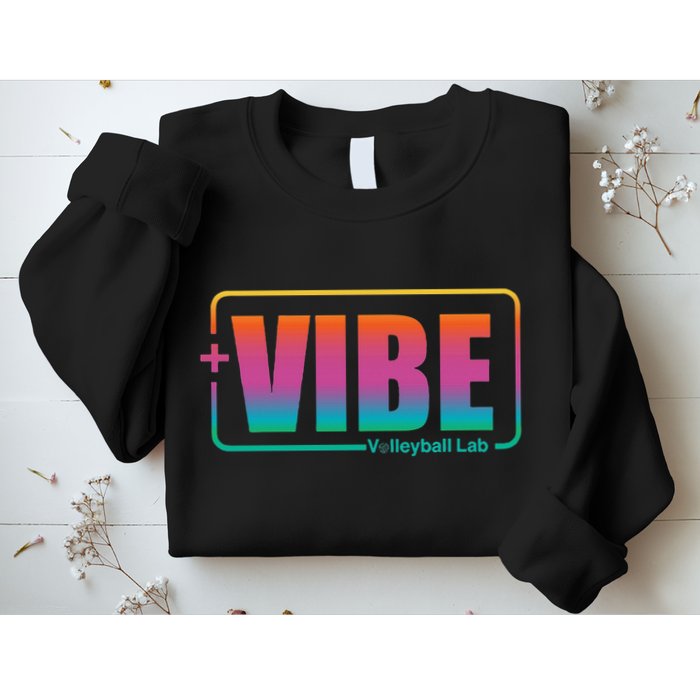 Vibe Volleyball Lab Multi Color Sweatshirt