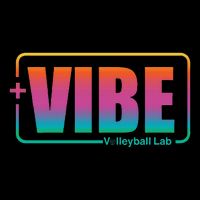 Vibe Volleyball Lab Multi Color Button