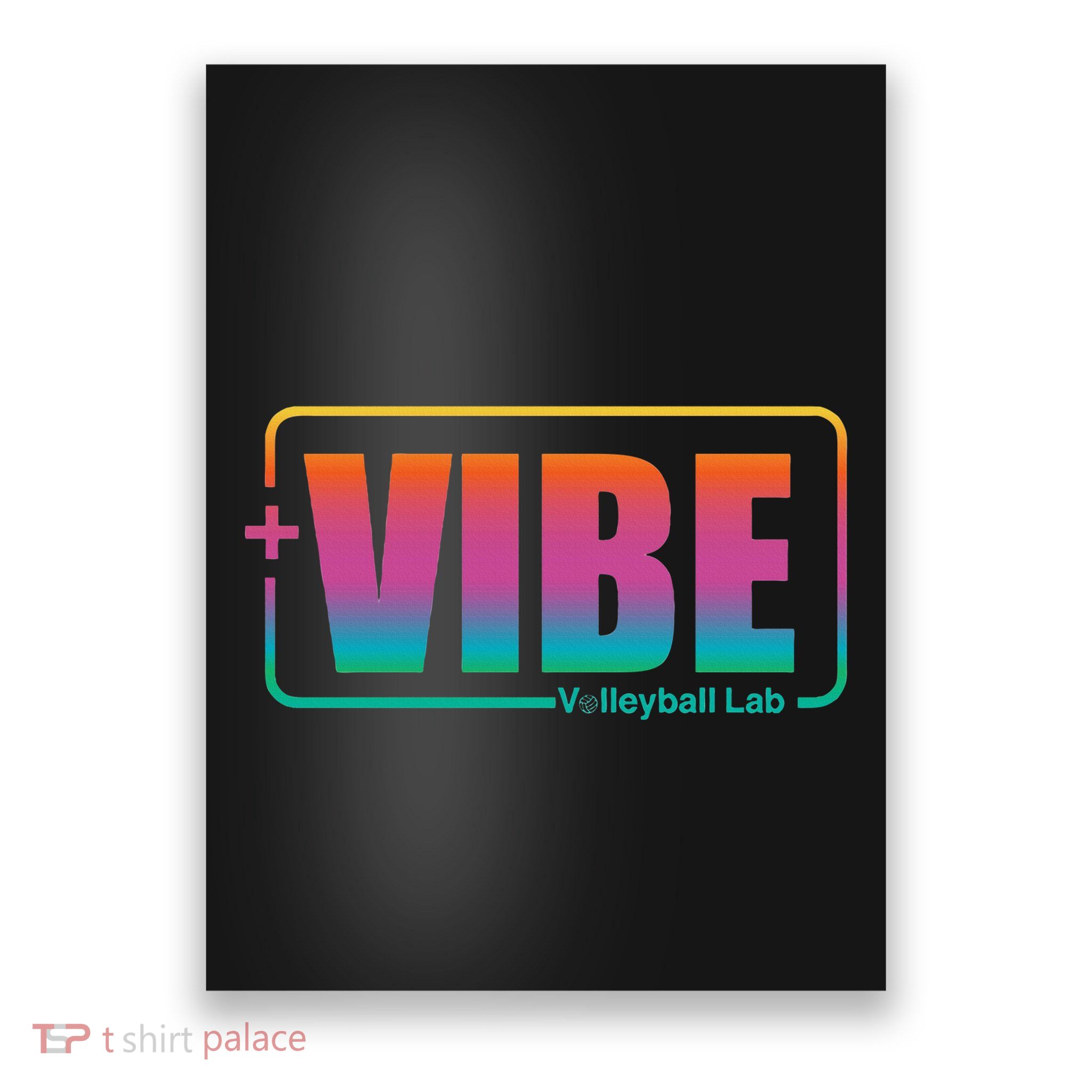 Vibe Volleyball Lab Multi Color Poster