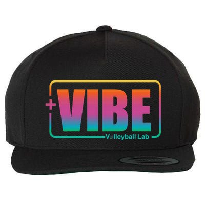 Vibe Volleyball Lab Multi Color Wool Snapback Cap