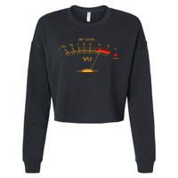 Volume Vu Meter Audio Engineer Recording Studio Gear Head Musician Guitar Cropped Pullover Crew