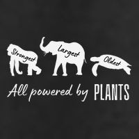 Vegan Vegetarian Powered By Plants Strongest Largest Oldest Golf Towel