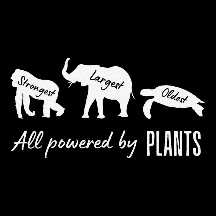 Vegan Vegetarian Powered By Plants Strongest Largest Oldest Womens T-Shirt