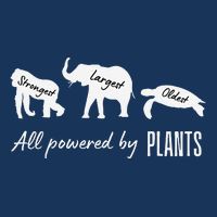 Vegan Vegetarian Powered By Plants Strongest Largest Oldest Infant Baby Jersey Bodysuit