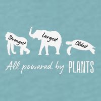 Vegan Vegetarian Powered By Plants Strongest Largest Oldest Sueded Cloud Jersey T-Shirt