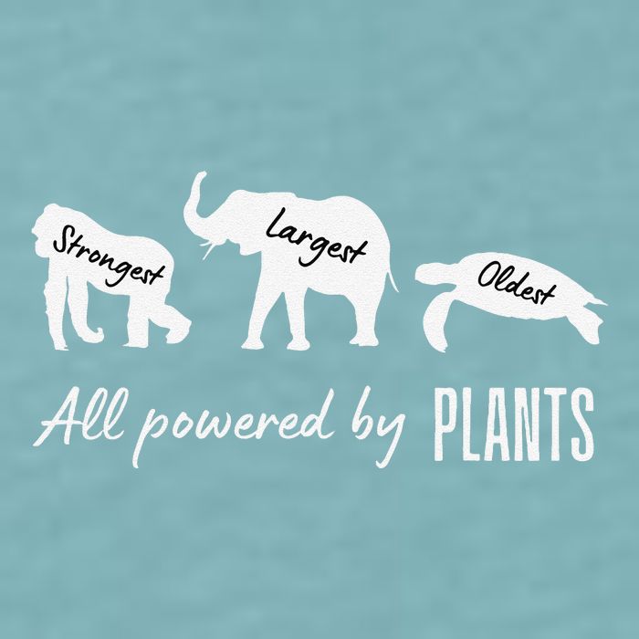Vegan Vegetarian Powered By Plants Strongest Largest Oldest Sueded Cloud Jersey T-Shirt