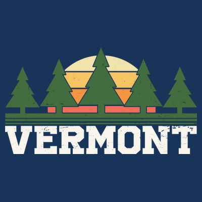 Vintage Vermont Retro Logo T-Shirt