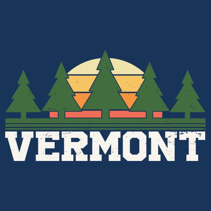 Vintage Vermont Retro Logo Flatbill Hat