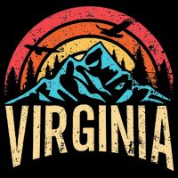 Virginia Virginia State Retro Virginia T-Shirt