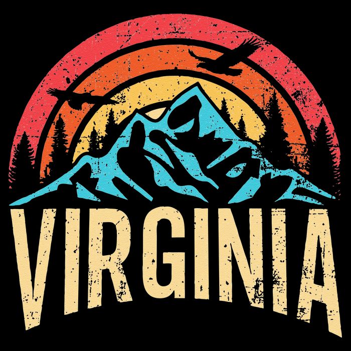 Virginia Virginia State Retro Virginia T-Shirt