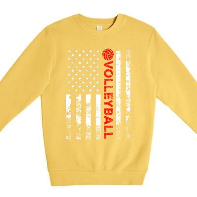 Volleyball Vintage Usa American Flag Gift Premium Crewneck Sweatshirt