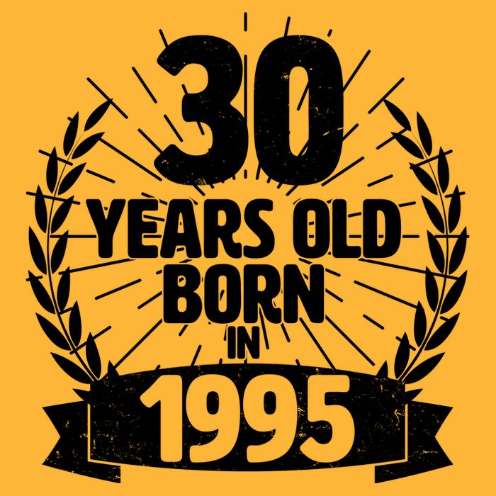 Vintage Wreath 30 Years Old Born In 1995 Birthday T-Shirt