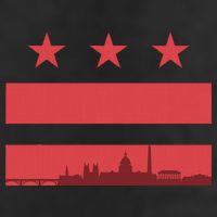 Vintage Washington Dc Retro Flag Beanie