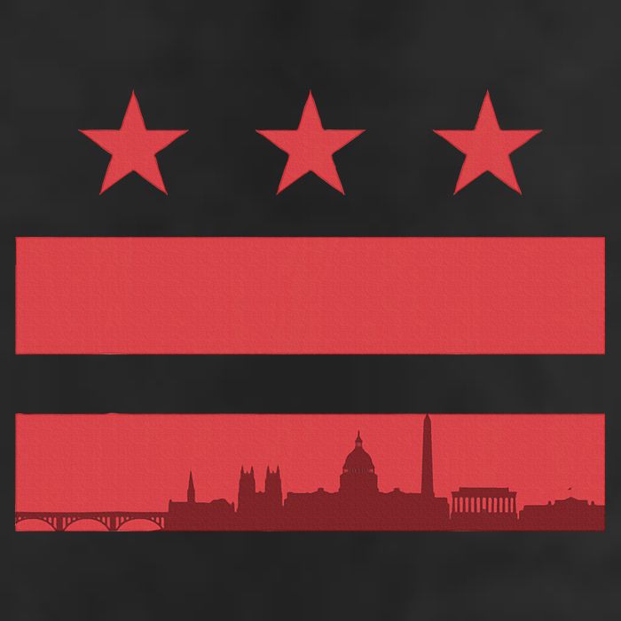 Vintage Washington Dc Retro Flag Beanie