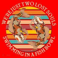 Vintage We're Just Two Lost Souls Swimming In A Fish Bowl Koi Fish T-Shirt