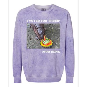 Victory Won Trump I Voted Moo Deng Prediction Garbage Legend Colorblast Crewneck Sweatshirt