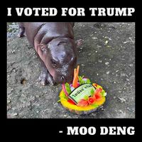 Victory Won Trump I Voted Moo Deng Prediction Garbage Legend Backpack