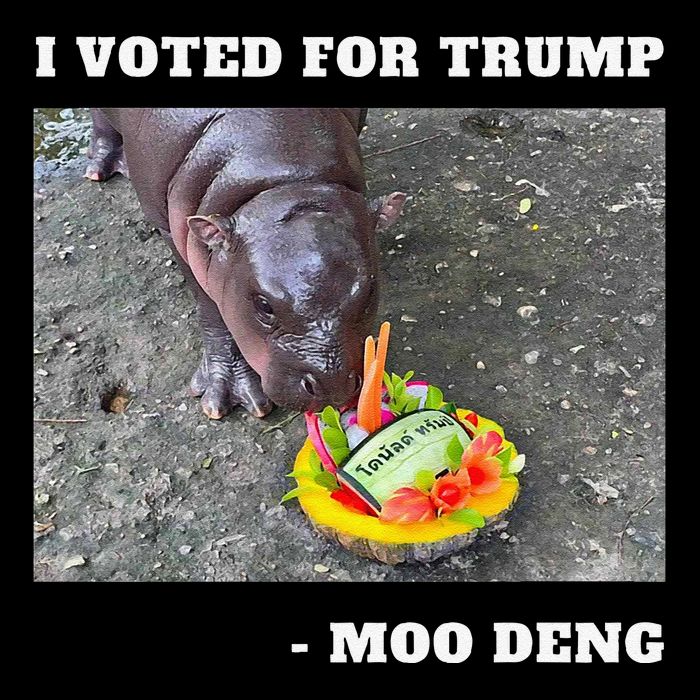 Victory Won Trump I Voted Moo Deng Prediction Garbage Legend Backpack