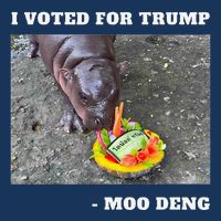 Victory Won Trump I Voted Moo Deng Prediction Garbage Legend Infant Baby Jersey Bodysuit