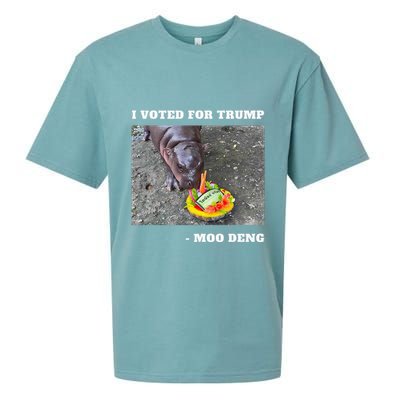 Victory Won Trump I Voted Moo Deng Prediction Garbage Legend Sueded Cloud Jersey T-Shirt