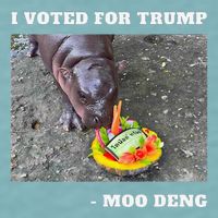 Victory Won Trump I Voted Moo Deng Prediction Garbage Legend Sueded Cloud Jersey T-Shirt