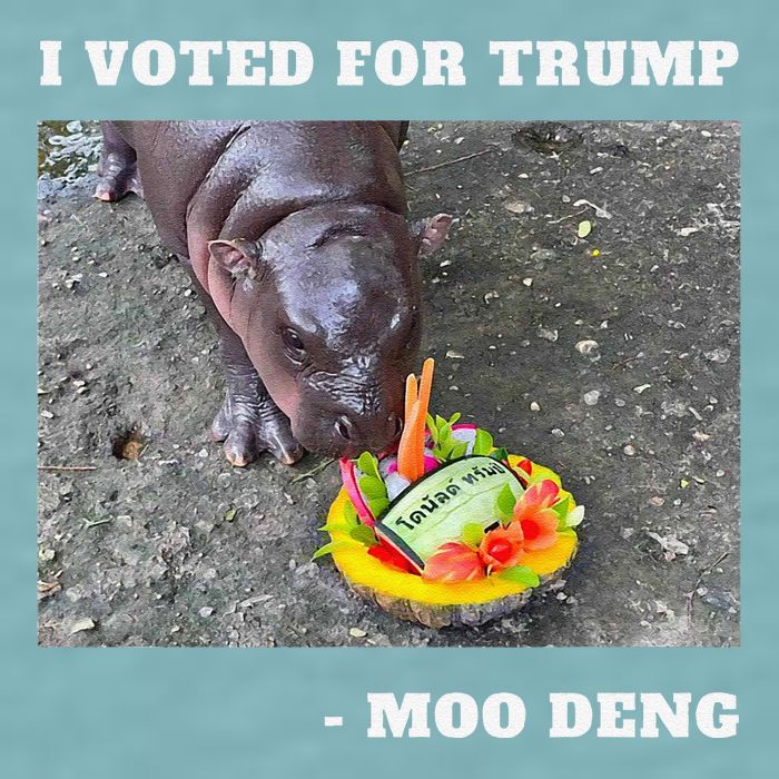 Victory Won Trump I Voted Moo Deng Prediction Garbage Legend Sueded Cloud Jersey T-Shirt