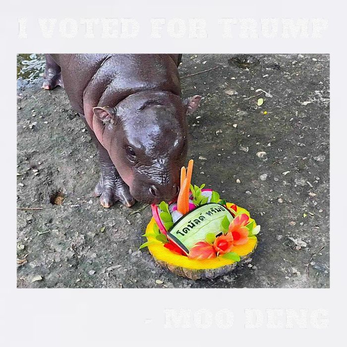 Victory Won Trump I Voted Moo Deng Prediction Garbage Legend Garment-Dyed Sweatshirt