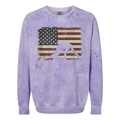 Vintage Wrestling Wrestle American Flag Usa Flag Wrestler Gift Colorblast Crewneck Sweatshirt